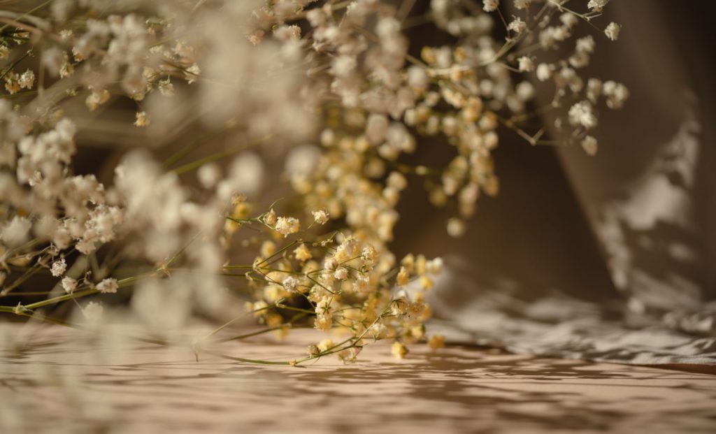 Jak działa Tricell?